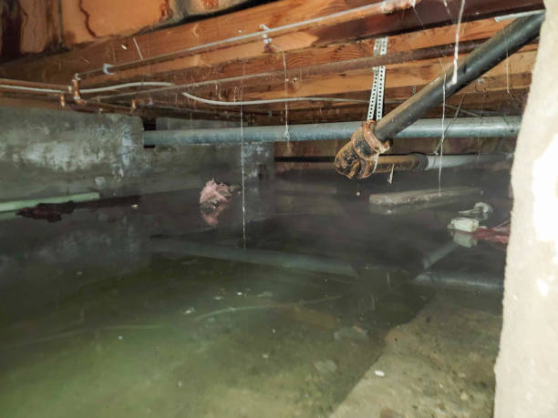 Best Emergency water extraction  in Junction City, KY