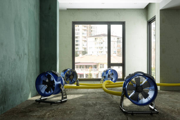 Water damage restoration insurance claims in Junction City, KY